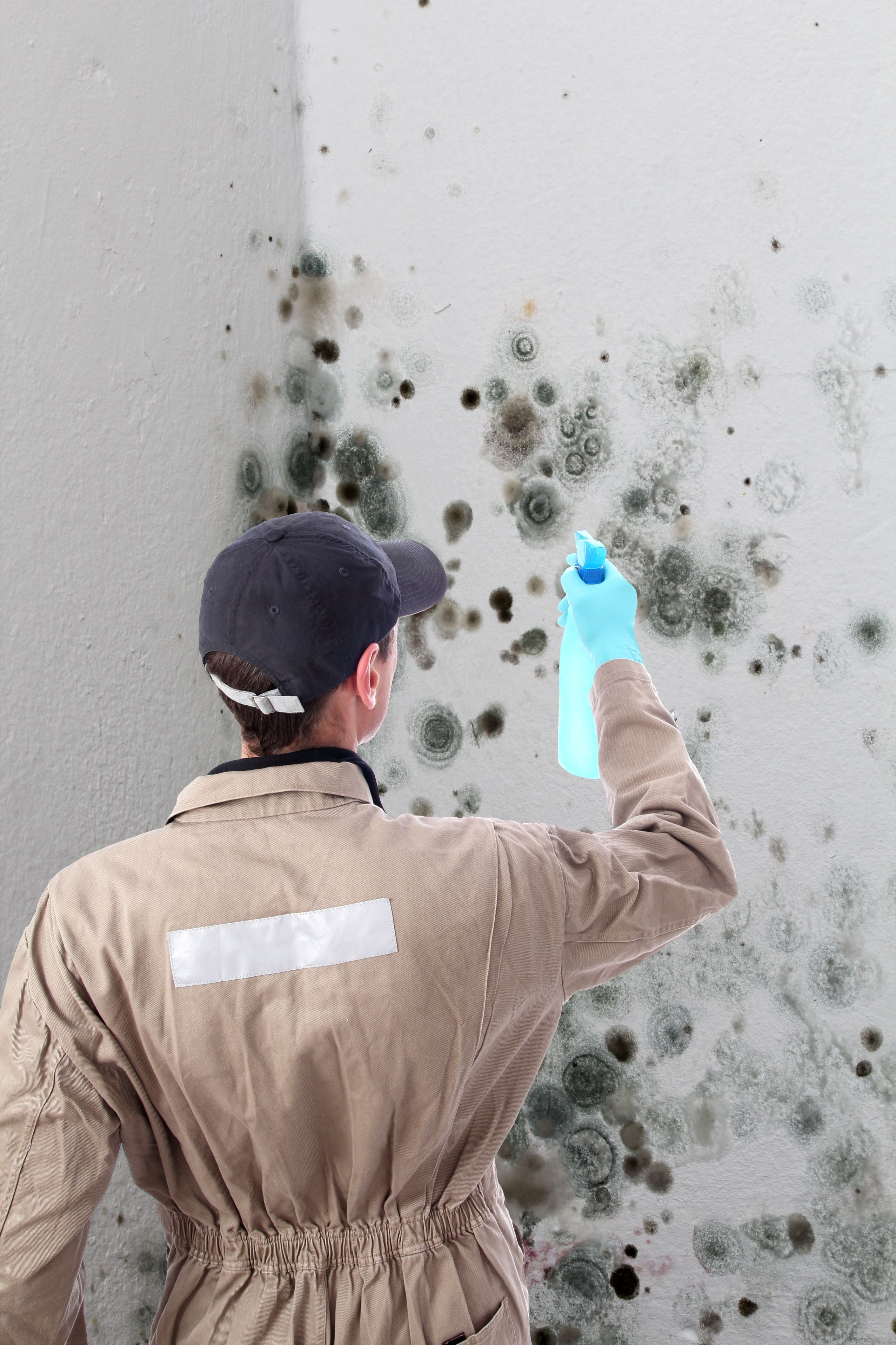 Essential Steps for Effective Water Removal Calgary Solutions Homeowners Can Trust