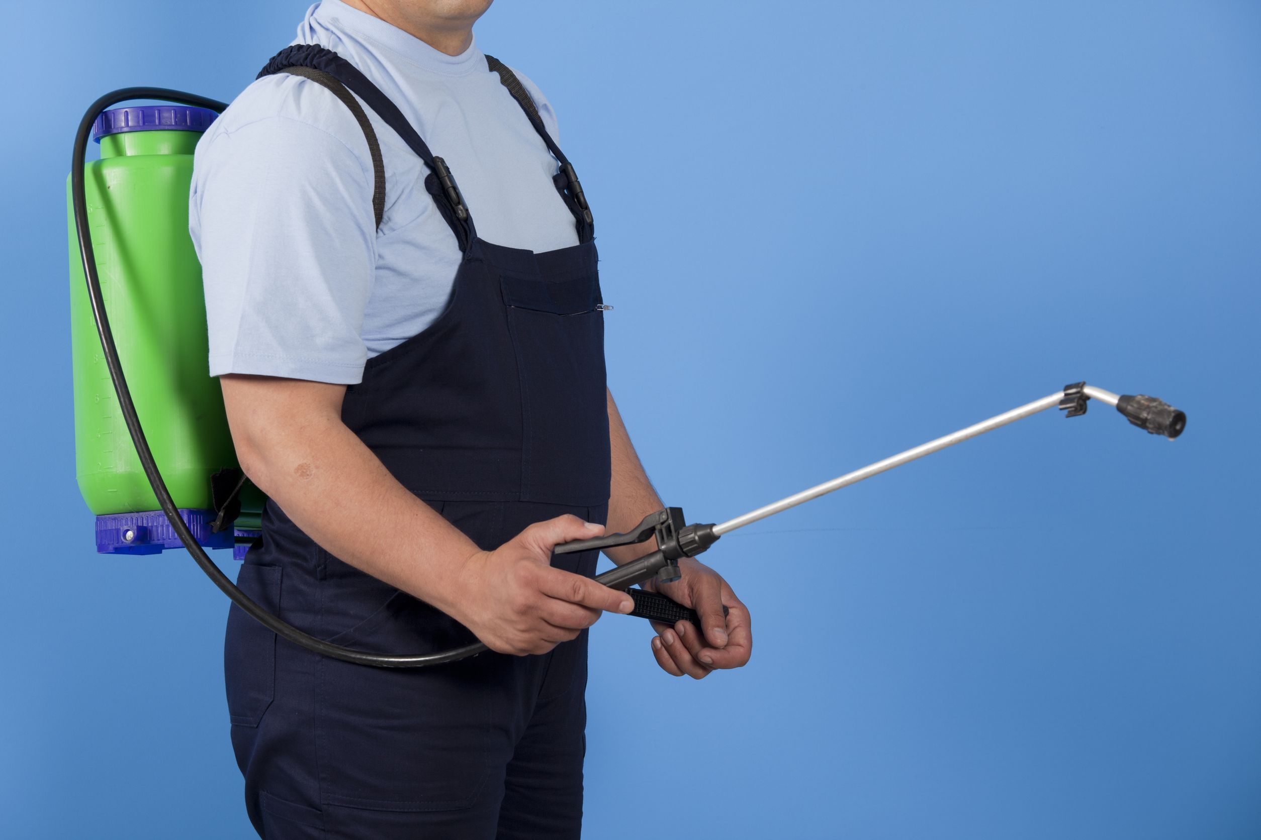 Professional Rodent Removal in Minneapolis Can Make Your Home a Lot Healthier