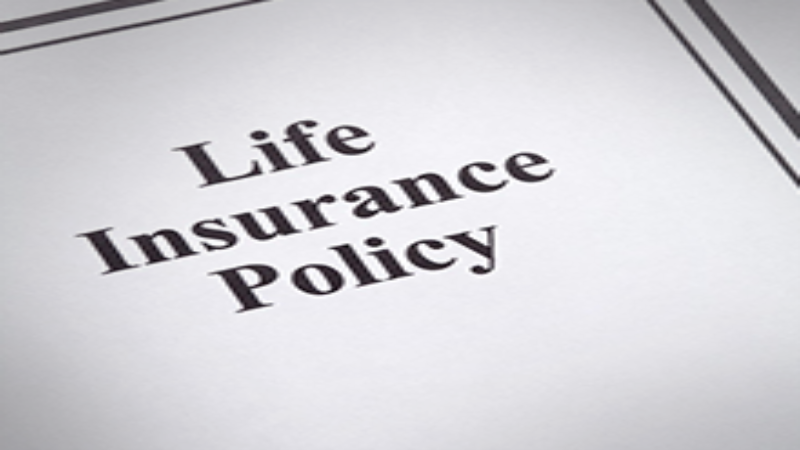Young People: Research a Life Insurance Company in Burleson, TX