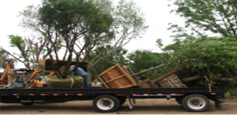 Hire Professional Lawn Services in Atascosa TX for a Beautiful Yard