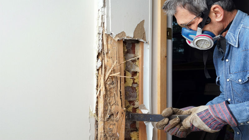 Explore Spiders Control in Boynton Beach, Florida Because Eight-Legged Invaders Don’t Belong in Your Home