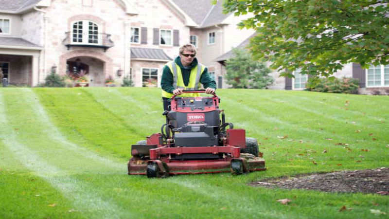 Landscape Design: Specimen Planting