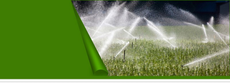 Signs it is Time for Sprinkler Repair in Spokane