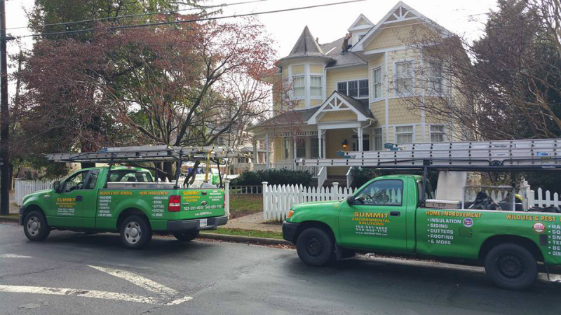 What You Must Do When You Find Dead Rodents or Wildlife in Your Property