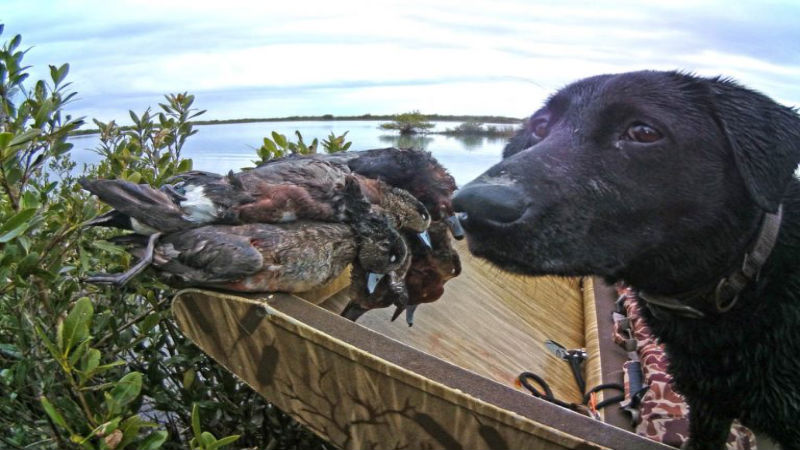 A Professional Guide: How They Can Make a Texas Fishing Trip a Success