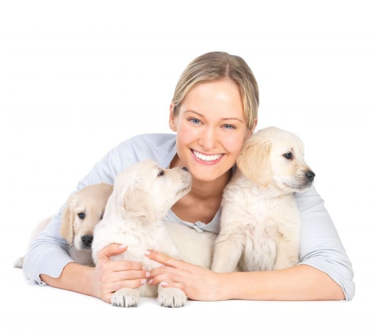 For Well Behaved Dogs – Enroll Them in Dog Daycare Services in Chicago