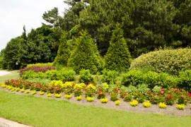 Landscape Management Services Will Keep Your Property Beautiful