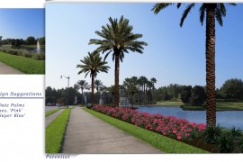 Why Drought Tolerant Plants Are Best for Your Landscape