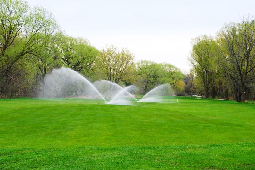 What’s Involved In Turfgrass Maintenance Services In McLean, VA?