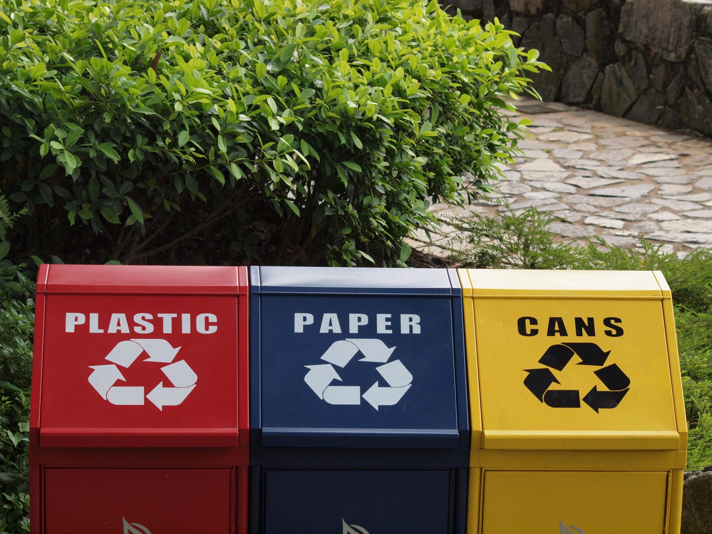 What Can a Yard Waste Container Rental in Burlington County Do for Your Project?