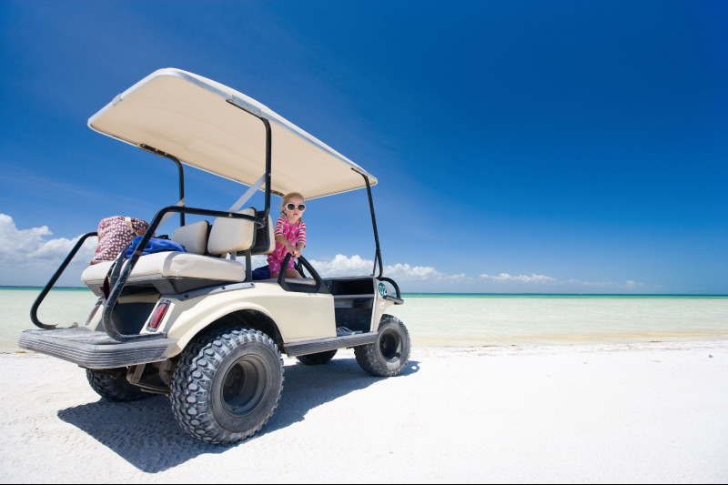 Where Can You Find a Golf Cart Store in Sun City Center?