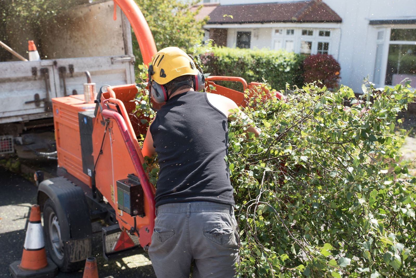 Hiring The Best Tree Removal Company For Your Needs