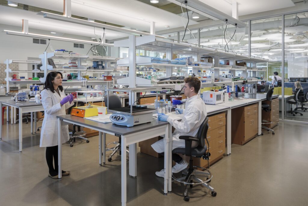 Get Professionals to Help with Lab Casework Installation