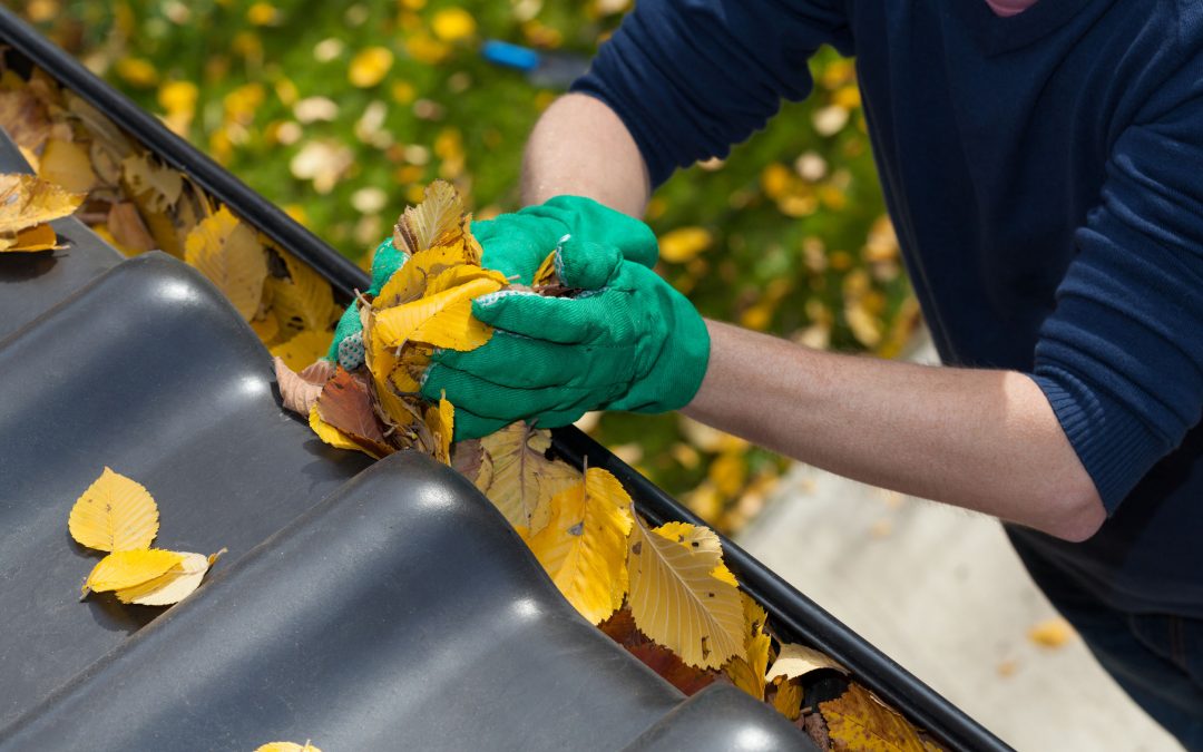 A Local Company is Ready to Help You with Gutter Cleaning in Windsor, CO