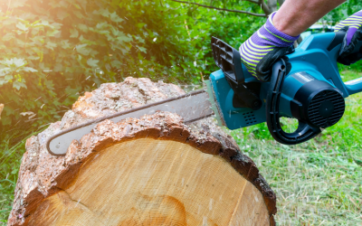 Improving Aesthetics and Health: Tree Trimming in Smyrna, GA