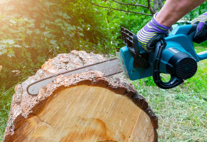 Improving Aesthetics and Health: Tree Trimming in Smyrna, GA