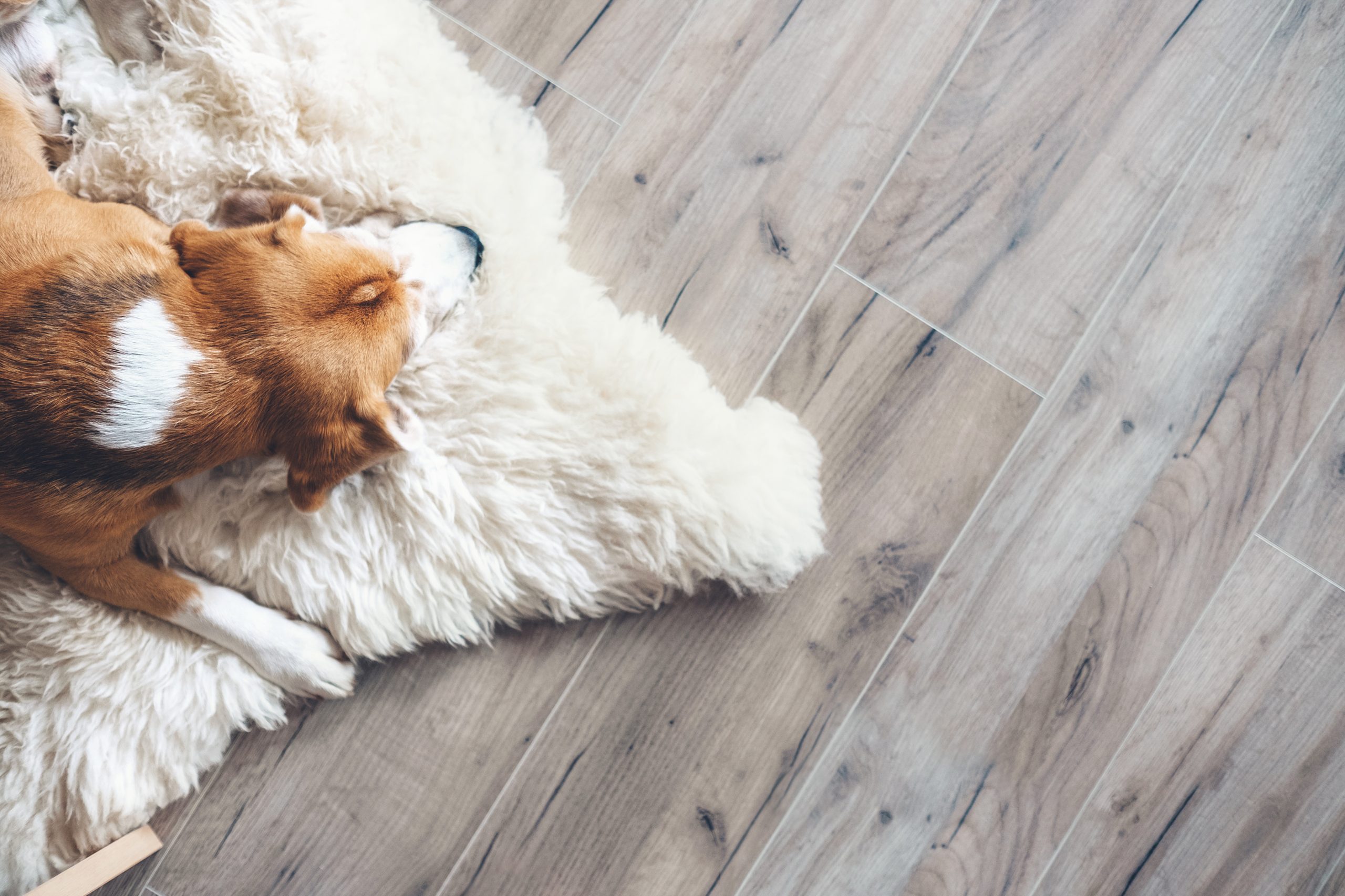 Enhance Your Basement Floors with a Reliable Basement Floor Coating Company in Loveland, CO