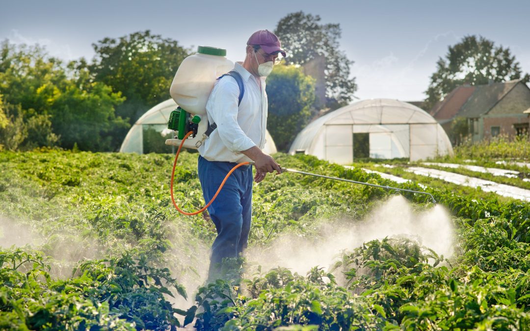 Pond Weed Killer: Essential Tips for a Clean and Healthy Pond