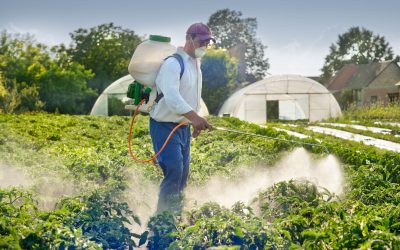 Pond Weed Killer: Essential Tips for a Clean and Healthy Pond