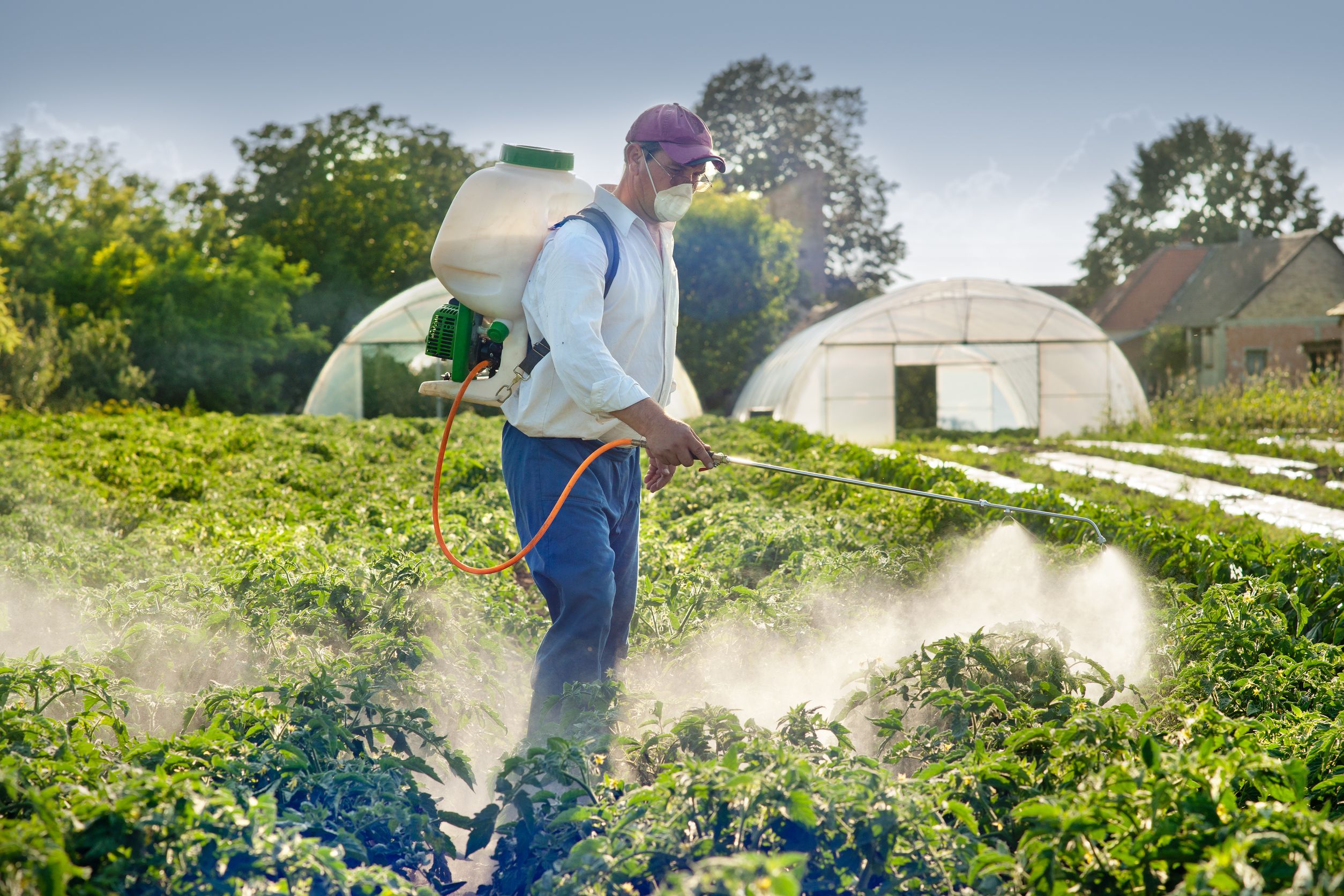 Pond Weed Killer: Essential Tips for a Clean and Healthy Pond