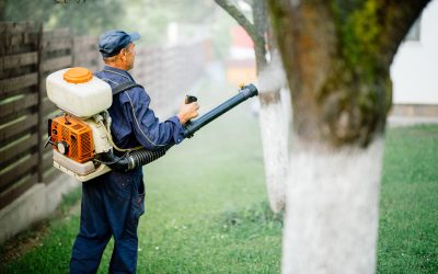 Protect Your Home and Family with Mosquito Control Huntsville AL for Bite-Free Summers