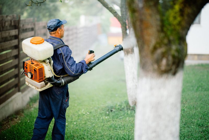Protect Your Home and Family with Mosquito Control Huntsville AL for Bite-Free Summers