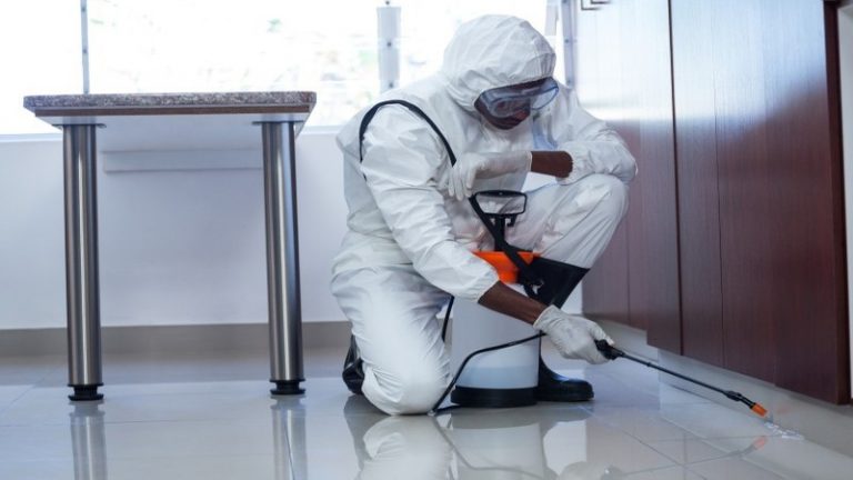 Benefits of Choosing Pest Control Newcastle for Safe Family Living Environments