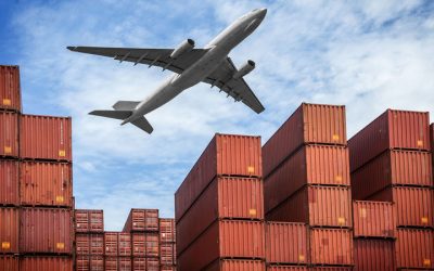 Why Busy Travelers Rely on Airport Pickup Delivery Torrance, CA for Hassle-Free Journeys