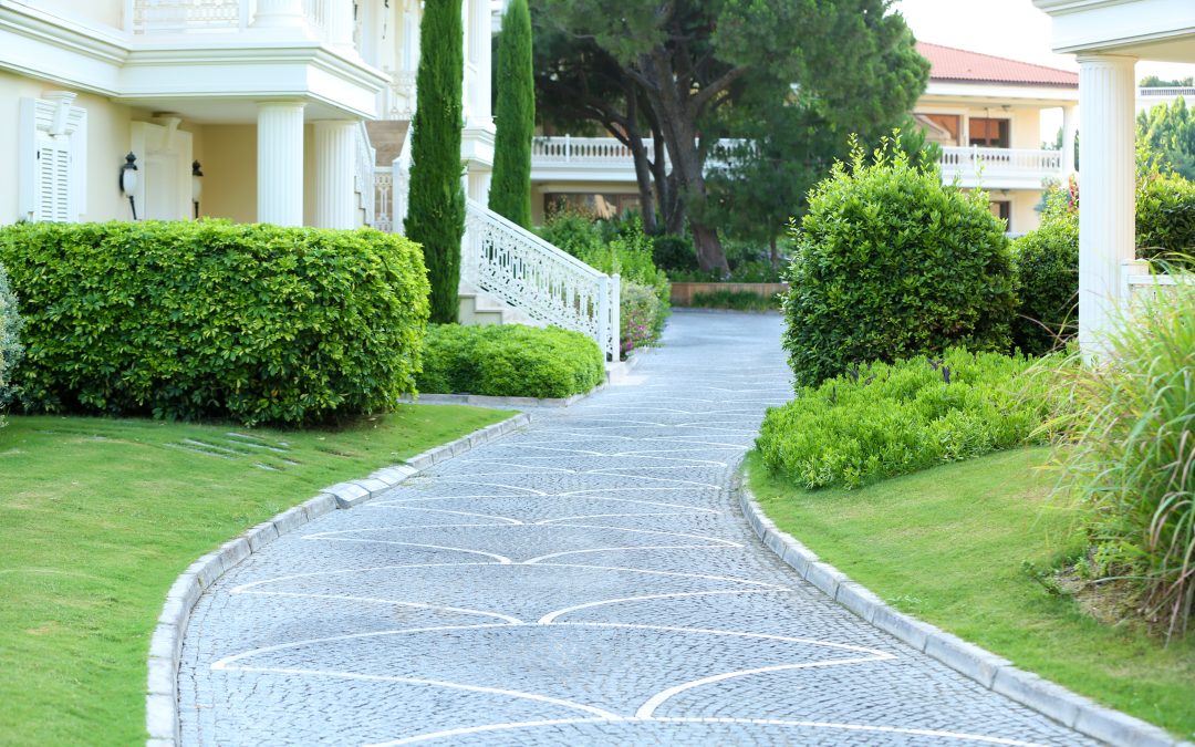 Winter Irrigation Inspections: Preventing Costly Yard Damage in Summer