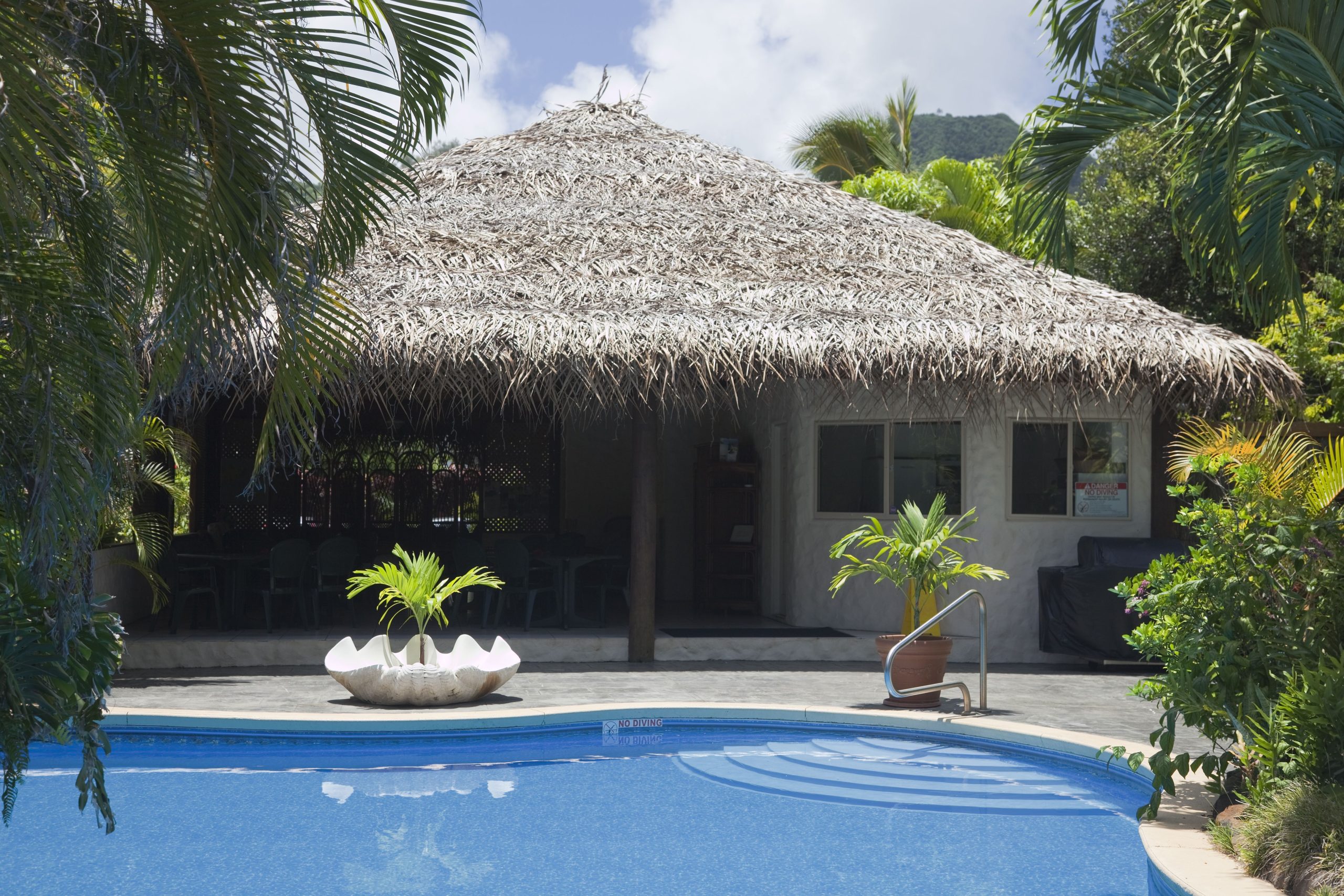 How to Build a Landscape That Integrates Seamlessly With Pools and Outdoor Kitchens