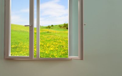Enhance Natural Light with Window Glass Replacement in Little Rock AR for Your Home