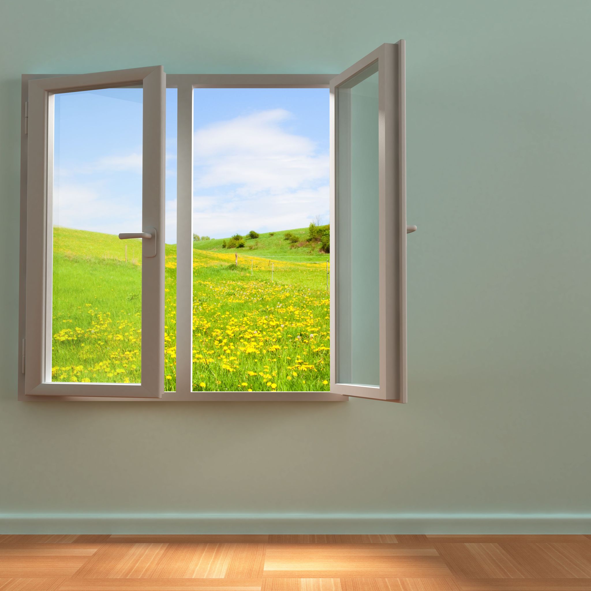 Enhance Natural Light with Window Glass Replacement in Little Rock AR for Your Home