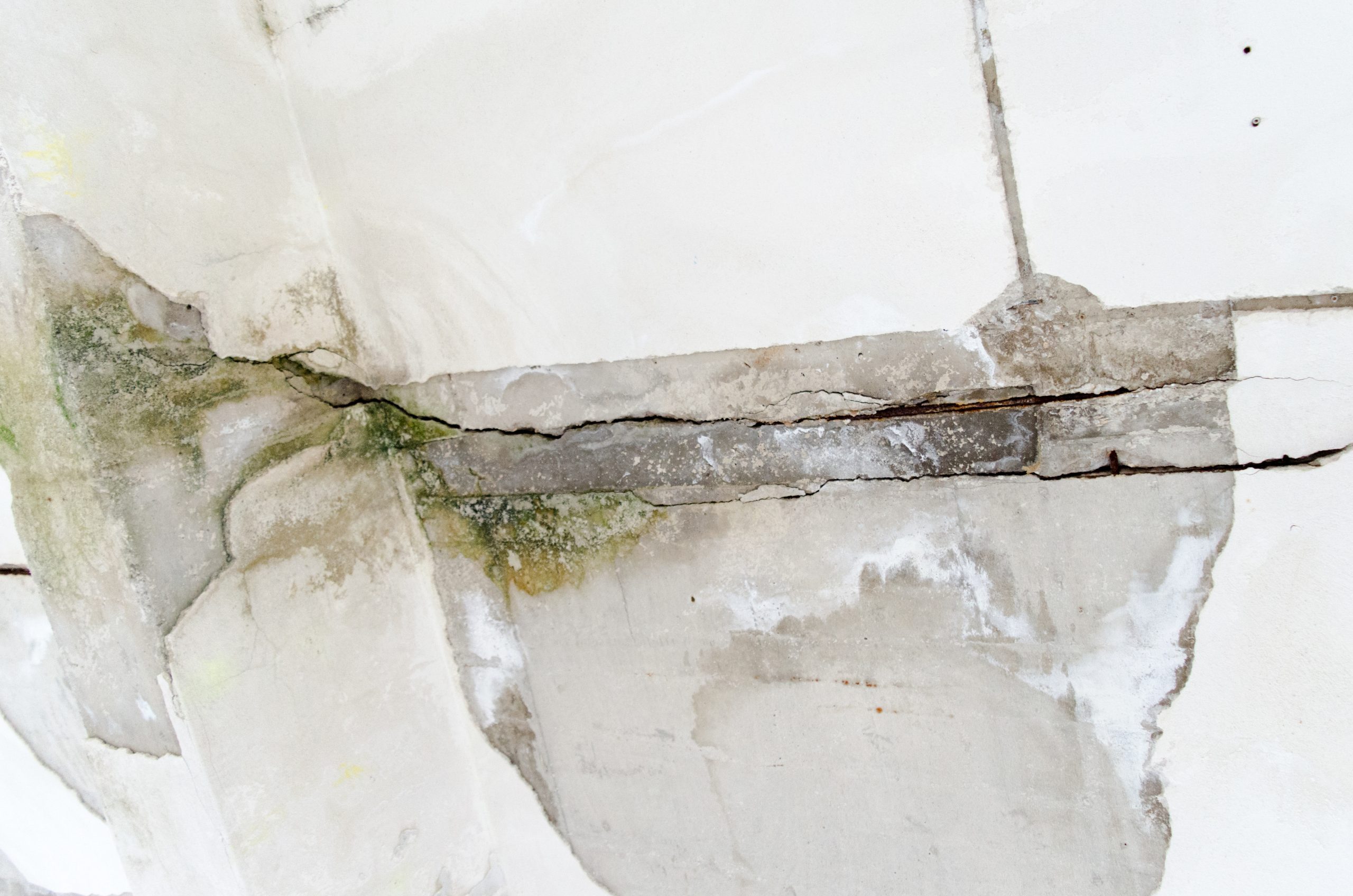 Protect Your Property With Expert Water Damage Restoration Temecula CA Solutions