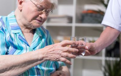 Experience Peace of Mind with Private Pay Home Care Minnetonka MN, for Your Loved Ones