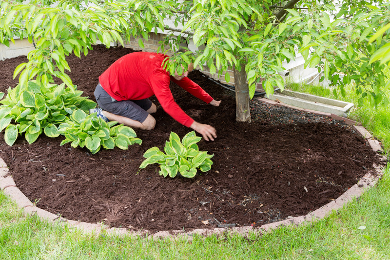 Enhance Your Curb Appeal with Quality Mulch Supplies Trusted by Cheshire, CT Homeowners