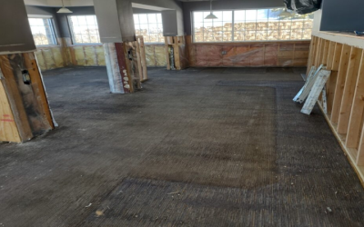 Protect Your Home from Costly Repairs with Water Damage Restoration Services Coon Rapids