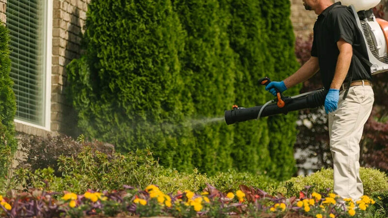 Protect Your Family Outdoors with Mosquito Control in Bartlett, TN, Solutions