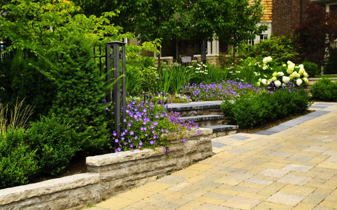 Enhance Property Value Using Expert Services from a Landscaping Company Menifee CA