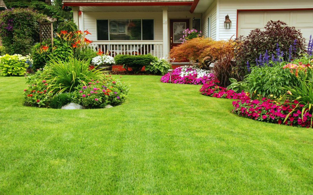 Transform Your Outdoor Space with a Landscaping Company Homeowners Trust