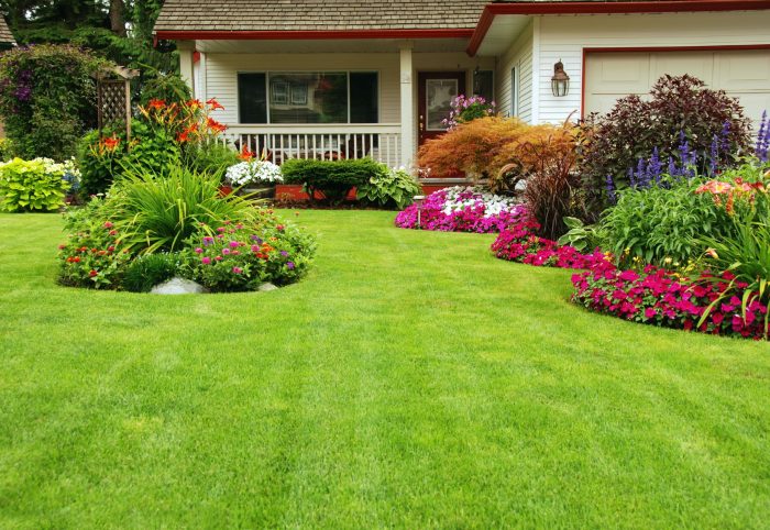 Transform Your Outdoor Space with a Landscaping Company Homeowners Trust