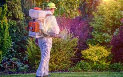 The Benefits of Mosquito Control in Huntsville, AL, for Outdoor Living