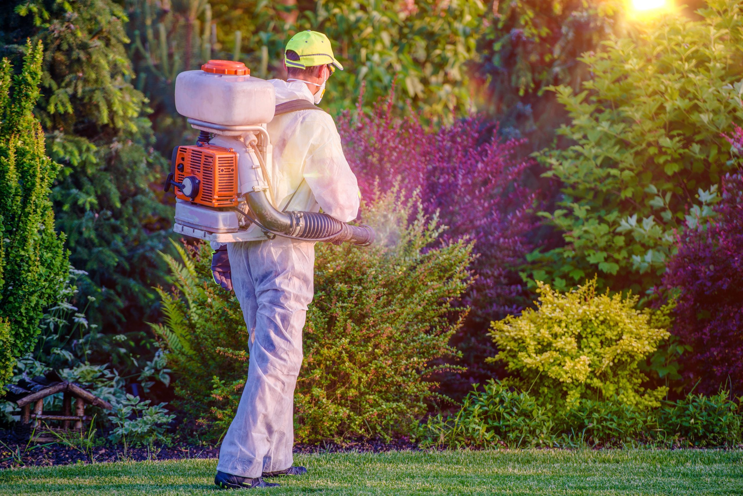 The Benefits of Mosquito Control in Huntsville, AL, for Outdoor Living