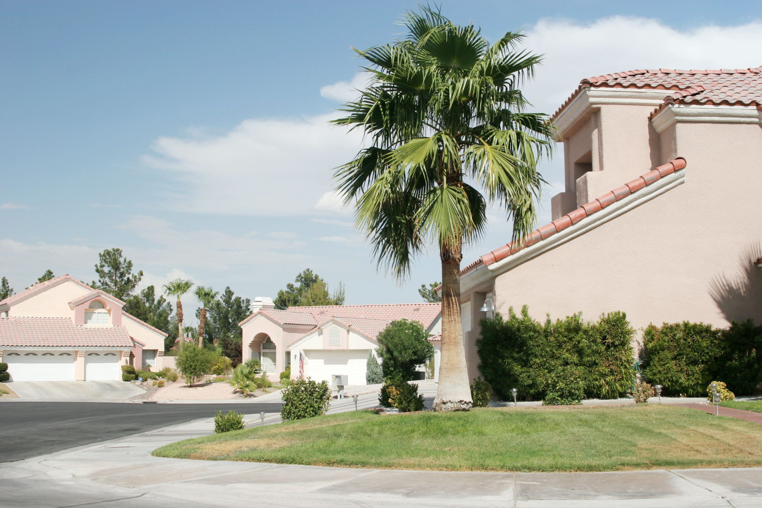 Steps to Buy Land in Florida for a Profitable Long Term Investment Strategy