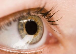 Regular Eye Exam in Murrieta, CA Supports Lifelong Vision Health for Local Families
