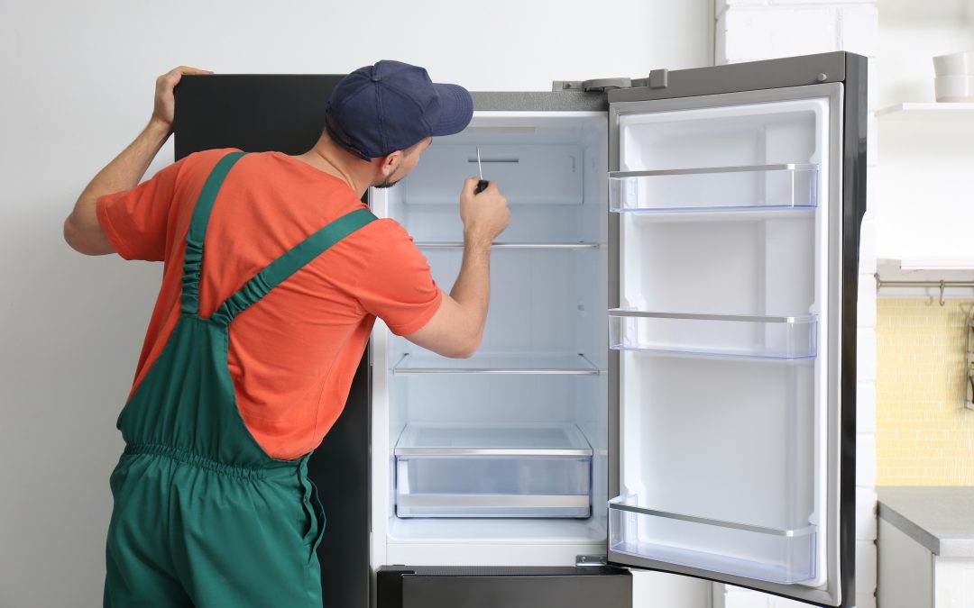 Save Money and Time with Efficient Dishwasher Repair in Rockford, IL Homeowners Love